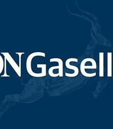 DN Gaselle